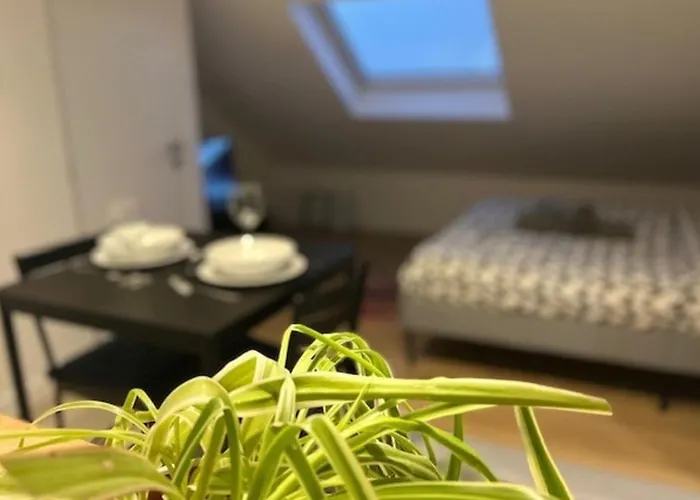 Hébergement de vacances Cosy Rent Studio 1tv - Wifi Proche Gare Strasbourg