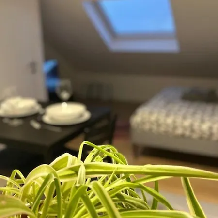 Cosy Rent Studio 1tv - Wifi Proche Gare * Strasbourg